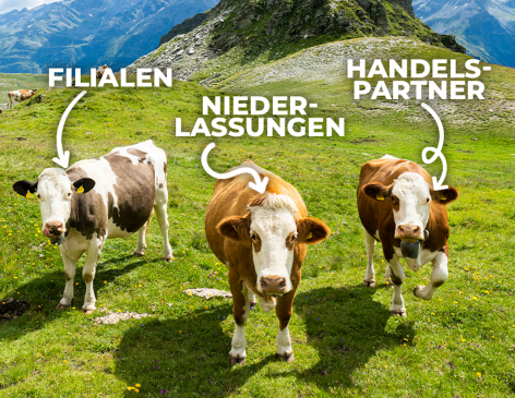 Was ist ein Marketingportal?