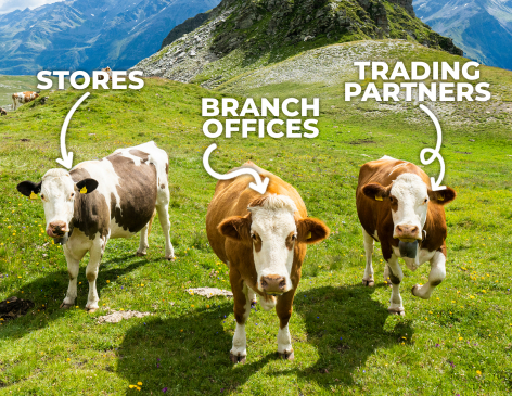 What is a marketing portal?