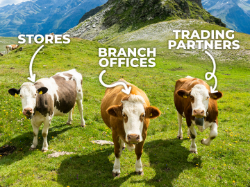 What is a marketing portal?