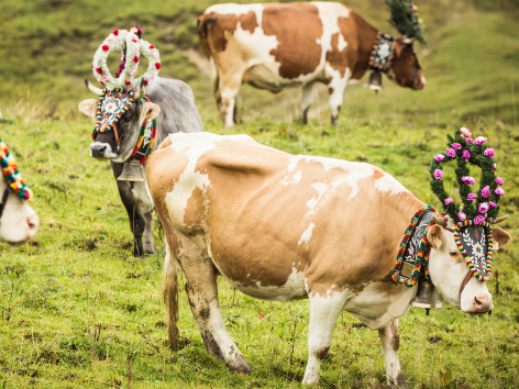 Kein Wildwuchs im lokalen Marketing