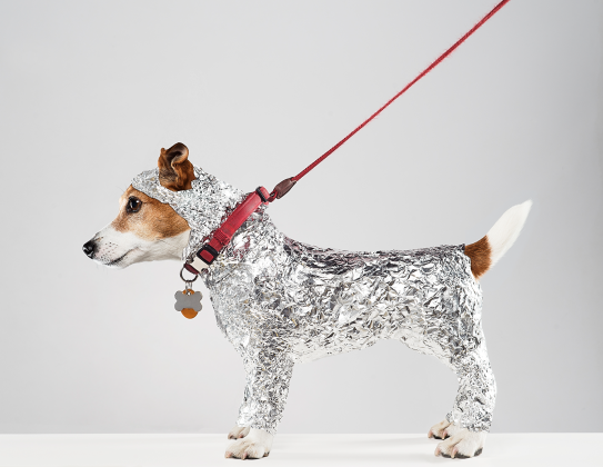 Kreativität im Marketing: KI und Daten für emotionale Markenführung